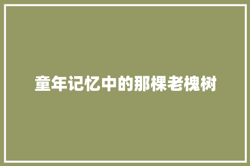 童年记忆中的那棵老槐树