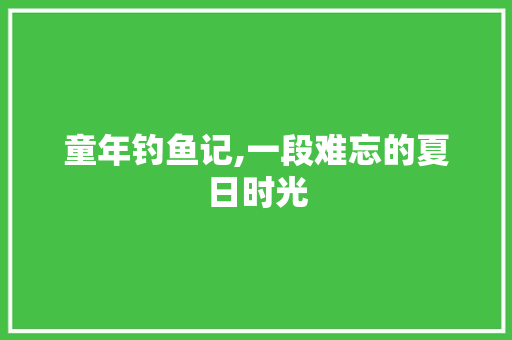 童年钓鱼记,一段难忘的夏日时光