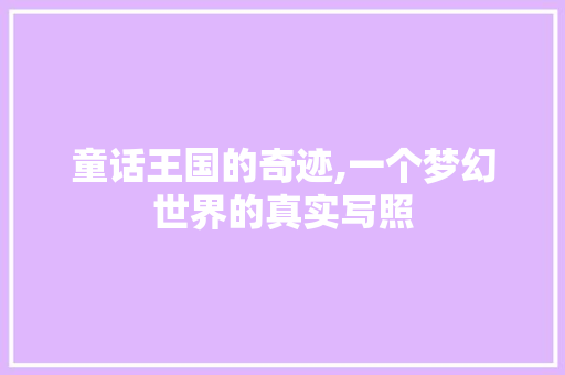 童话王国的奇迹,一个梦幻世界的真实写照