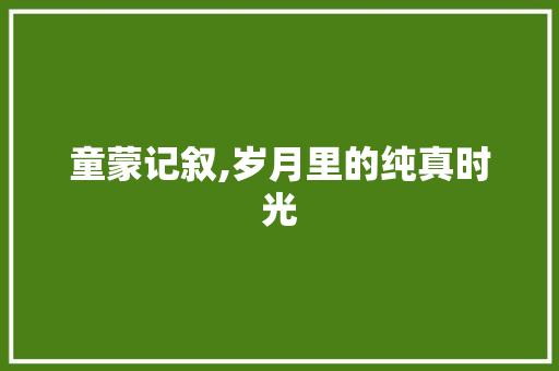 童蒙记叙,岁月里的纯真时光