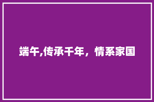 端午,传承千年，情系家国