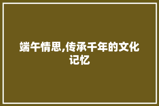 端午情思,传承千年的文化记忆