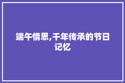 端午情思,千年传承的节日记忆