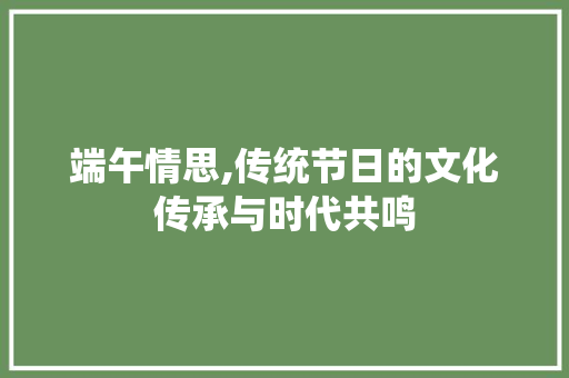 端午情思,传统节日的文化传承与时代共鸣