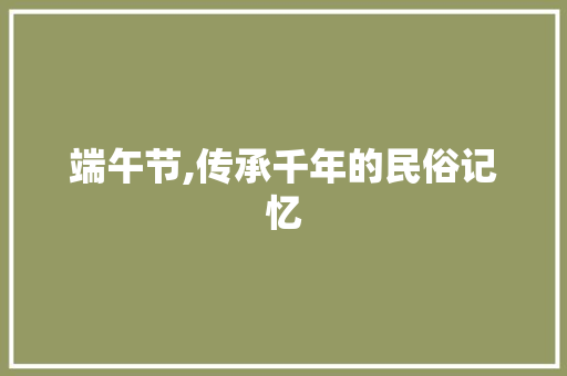 端午节,传承千年的民俗记忆