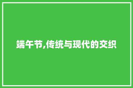 端午节,传统与现代的交织