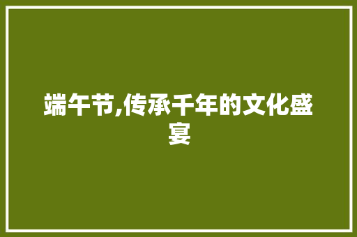 端午节,传承千年的文化盛宴 求职信范文