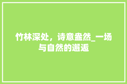 竹林深处，诗意盎然_一场与自然的邂逅