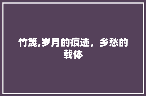 竹篾,岁月的痕迹，乡愁的载体