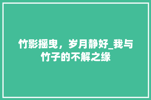 竹影摇曳，岁月静好_我与竹子的不解之缘