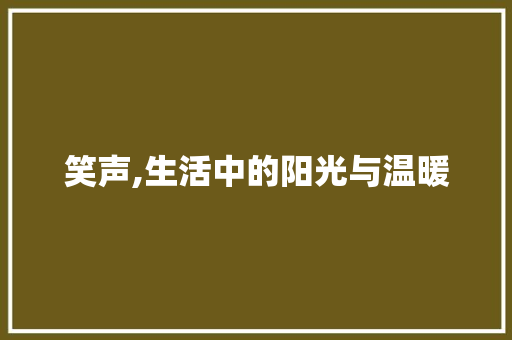 笑声,生活中的阳光与温暖