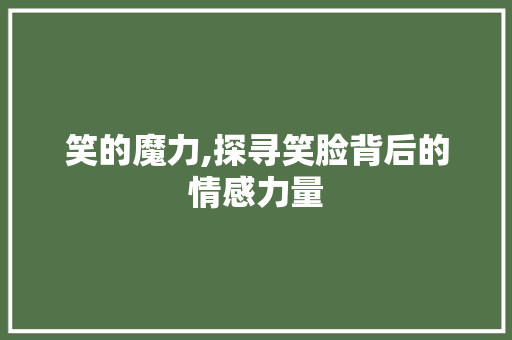 笑的魔力,探寻笑脸背后的情感力量