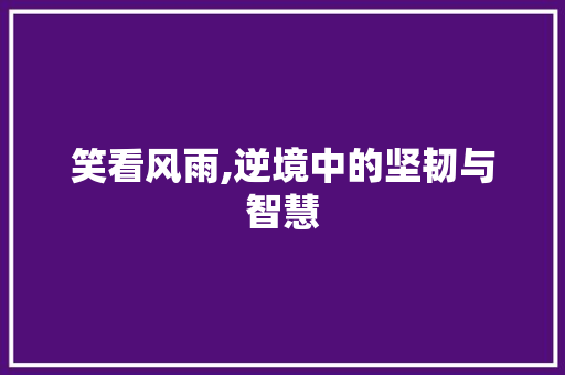 笑看风雨,逆境中的坚韧与智慧