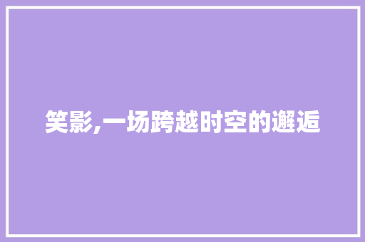 笑影,一场跨越时空的邂逅