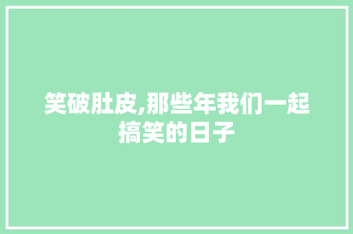 笑破肚皮,那些年我们一起搞笑的日子