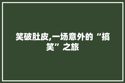 笑破肚皮,一场意外的“搞笑”之旅