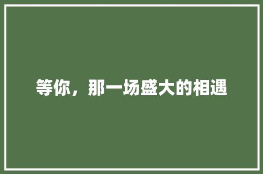 等你，那一场盛大的相遇