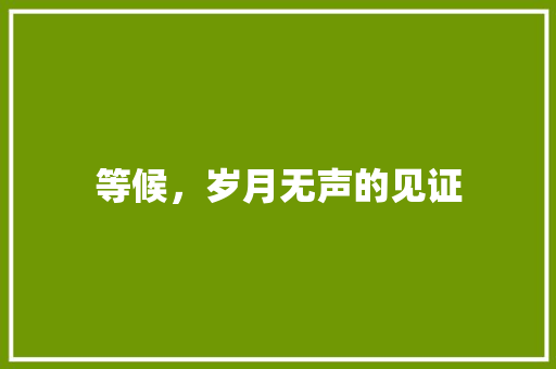 等候，岁月无声的见证