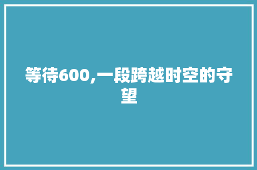 等待600,一段跨越时空的守望