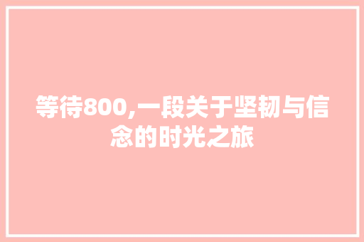 等待800,一段关于坚韧与信念的时光之旅