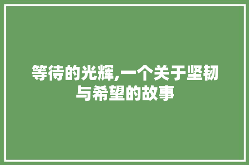 等待的光辉,一个关于坚韧与希望的故事