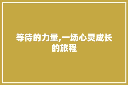 等待的力量,一场心灵成长的旅程