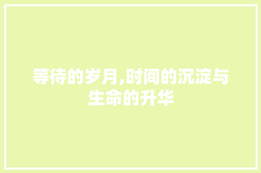 等待的岁月,时间的沉淀与生命的升华