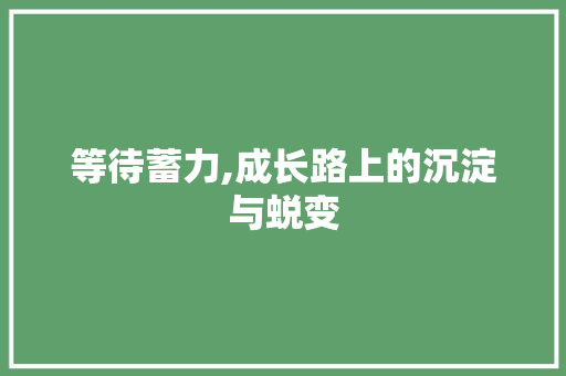 等待蓄力,成长路上的沉淀与蜕变