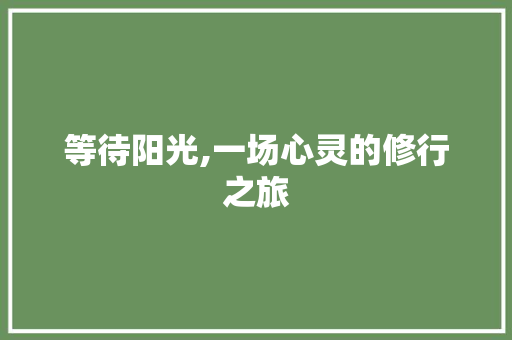 等待阳光,一场心灵的修行之旅