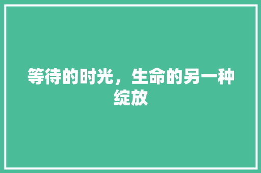 等待的时光，生命的另一种绽放