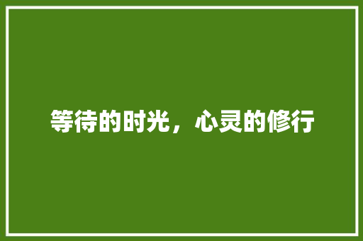 等待的时光，心灵的修行