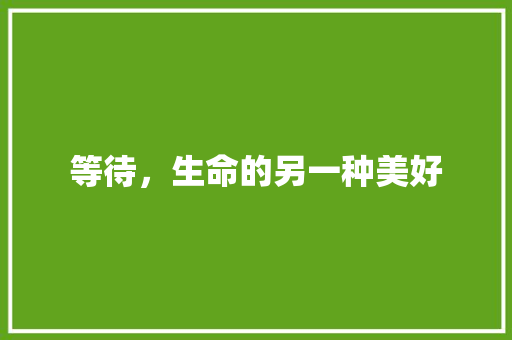 等待，生命的另一种美好