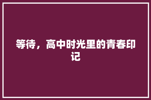 等待，高中时光里的青春印记