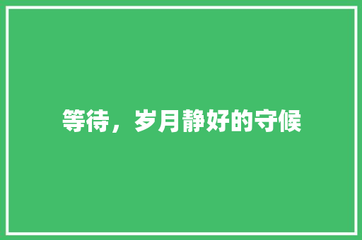 等待，岁月静好的守候