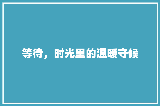 等待，时光里的温暖守候