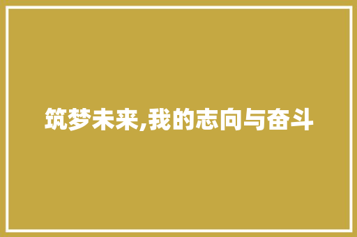 筑梦未来,我的志向与奋斗