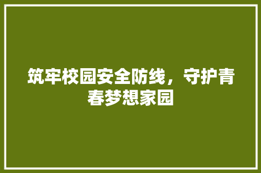 筑牢校园安全防线，守护青春梦想家园