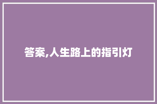 答案,人生路上的指引灯