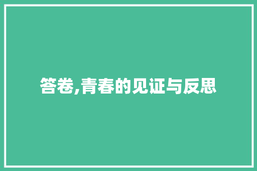 答卷,青春的见证与反思