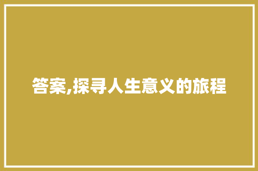 答案,探寻人生意义的旅程