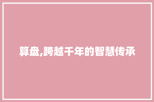 算盘,跨越千年的智慧传承