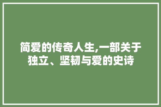 简爱的传奇人生,一部关于独立、坚韧与爱的史诗