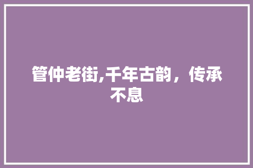 管仲老街,千年古韵，传承不息