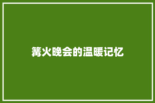 篝火晚会的温暖记忆