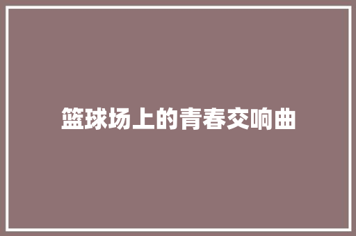 篮球场上的青春交响曲