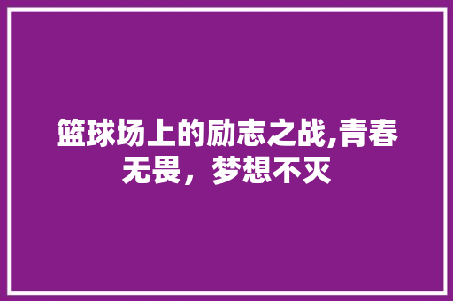 篮球场上的励志之战,青春无畏，梦想不灭