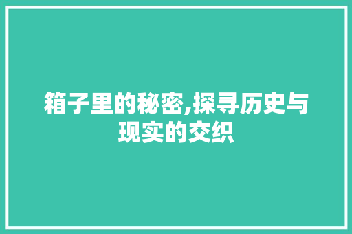 箱子里的秘密,探寻历史与现实的交织