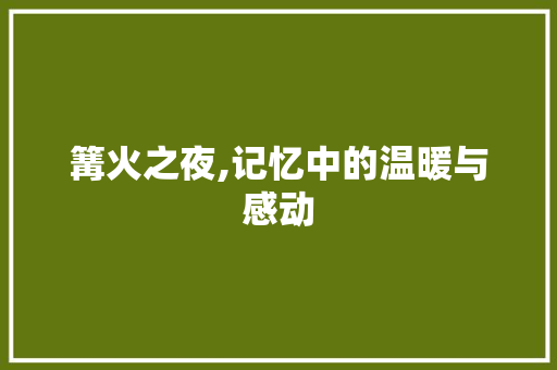 篝火之夜,记忆中的温暖与感动