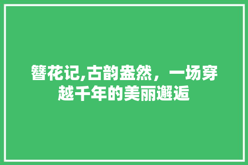 簪花记,古韵盎然，一场穿越千年的美丽邂逅