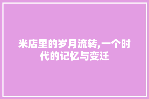 米店里的岁月流转,一个时代的记忆与变迁